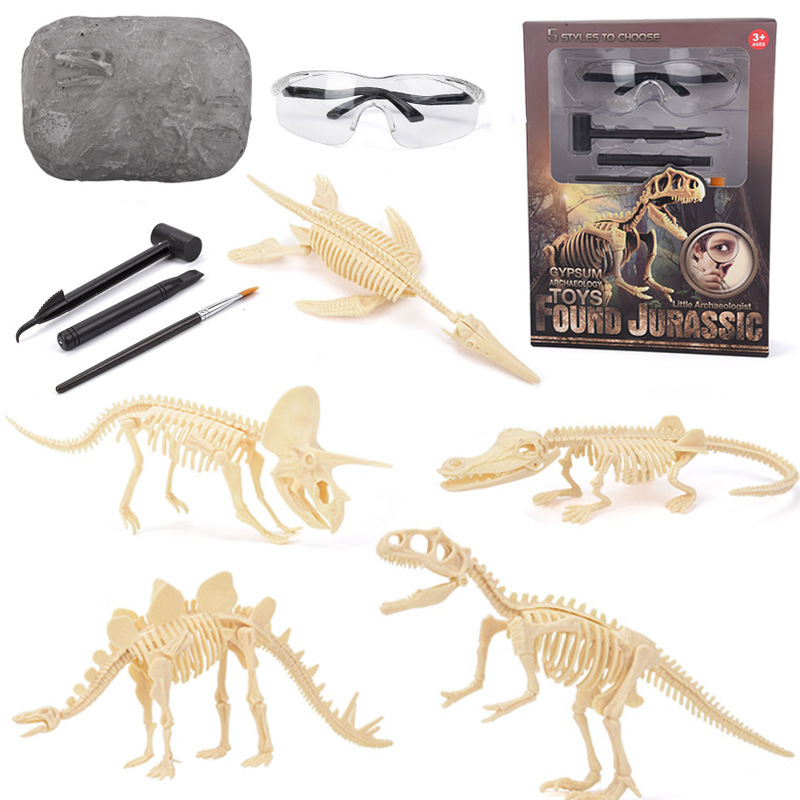 Model Kit For Girls - Kit de Excavación de Fósiles de