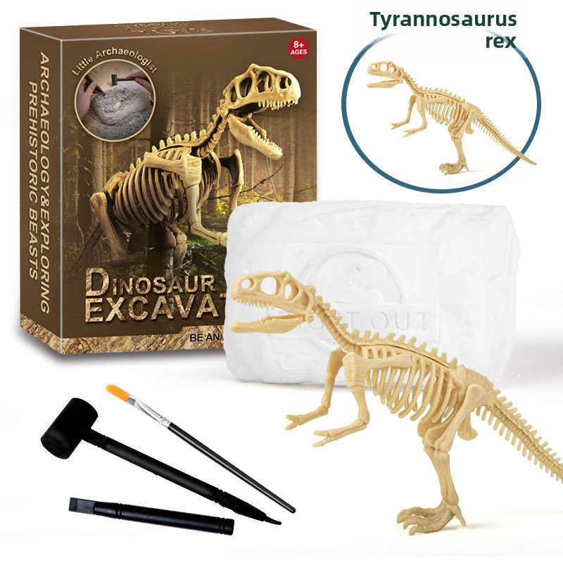 Kit de Excavación de Fósiles d - Model Kit For Girls reseña y precio